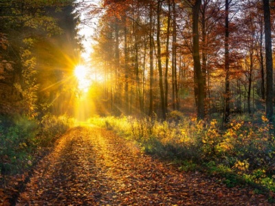 Prognoza pogody 19-25 września 2025