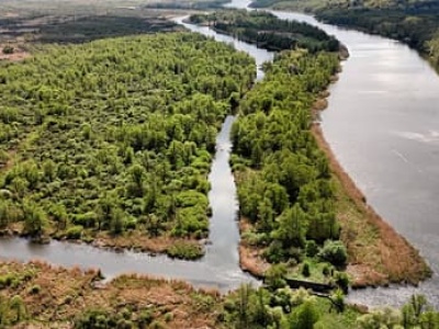 Park Narodowy Doliny Dolnej Odry może powstać jeszcze w tym roku. Ustawą zajmie się Sejm