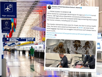 Przerażające odkrycie na lotnisku. Przewoził w bagażu ludzkie szczątki. Tak się wytłumaczył