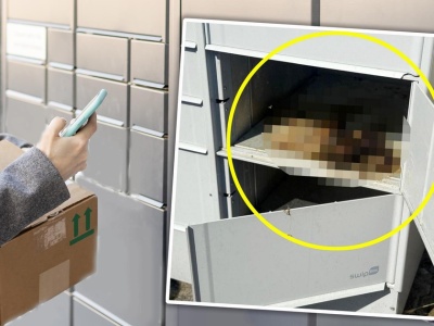 Martwy kot znaleziony w paczkomacie. Policja bada dwie wersje