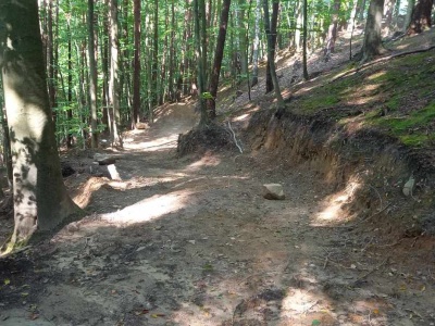 Przyłącz się do likwidacji nielegalnych ścieżek rowerowych. Leśnicy walczą z samowolką