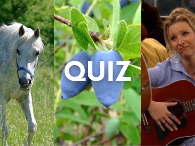 Arcytrudny quiz wiedzy ogólnej. 5. pytanie powala wszystkich