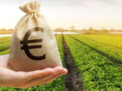 Ponad 24 miliardy euro na rolnictwo w kopercie dla Polski
