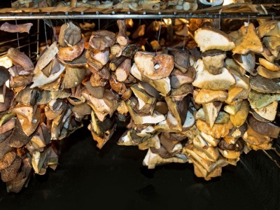 Tak łatwo zasuszysz grzyby w piekarniku. Jaka temperatura jest odpowiednia?