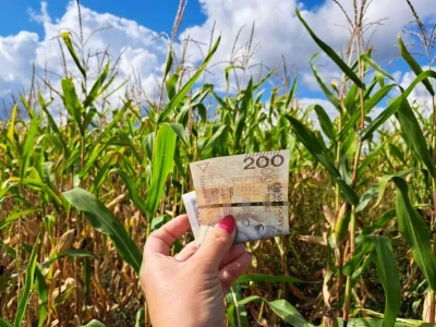 Zaliczki dopłat bezpośrednich już niebawem. Do których płatności i czy będą wyższe niż 50 proc.?