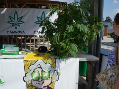 Startują Ogólnopolskie Dożynki Konopne. Dwudniowa impreza na granicy Lublina i Konopnicy