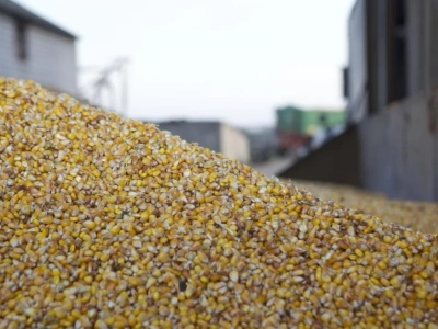 Mercosur bez zgody Polski? Umowę przyjmie Rada UE, nie Rada Europejska