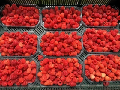 Eksport malin – od zera do bohatera