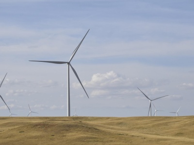 Państwo musi mieć kontrolę nad sieciami energetycznymi. Widać jednak słabe punkty