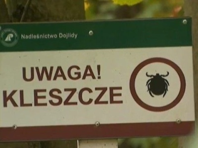 WIM: Ukłuł cię kleszcz? Wypełnij ankietę SOBOTA