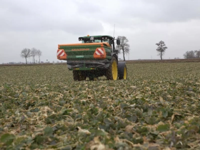 Ile azotu pod zboża, bobowate i oleiste? Maksymalne dawki do planu nawożenia