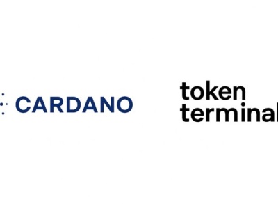 Cardano łączy się z Token Terminal
