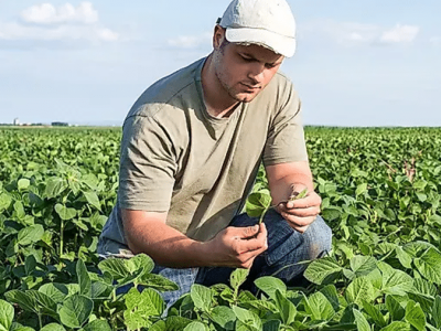 Monopolizacja rolnictwa: Garstka korporacji kontroluje nakłady i produkcję amerykańskich rolników