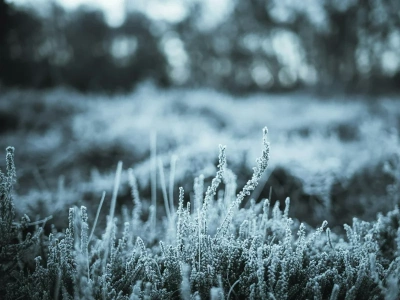 Radykalna zmiana pogody w Polsce. Na horyzoncie pierwsze przymrozki