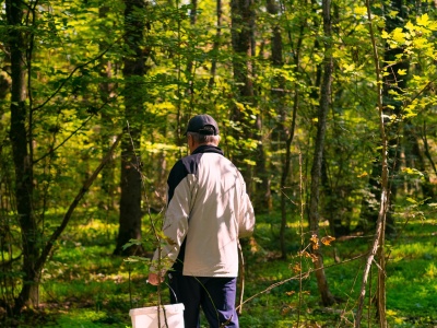 Zbierał grzyby, znalazł coś niepokojącego. Natychmiast wezwał policję