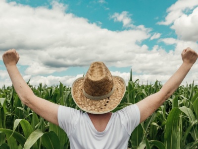 Nastąpiła wyraźna poprawa koniunktury rolnej. Tak twierdzą ekonomiści
