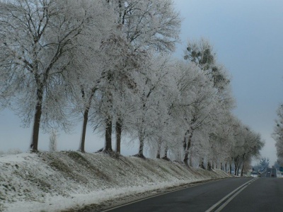Są prognozy pogody na zimę 2026. Kiedy w Polsce spadnie śnieg?