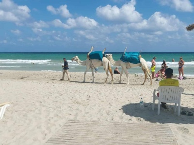 W Europie po sezonie, a tu wakacje w pełni. To najlepszy czas, by odwiedzić 