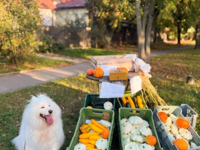 Moda na samoobsługowe sklepiki 