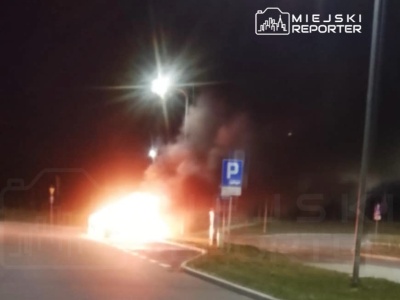 Pożar samochodu na trasie S7. Pojazd spłonął doszczętnie