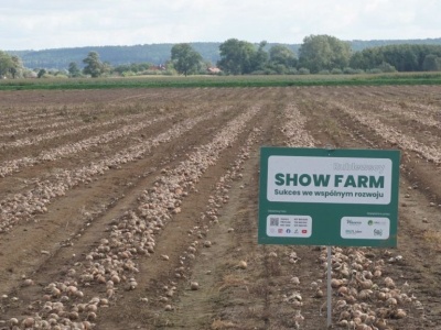 Odmiany cebuli do długiego przechowywania firmy Hazera