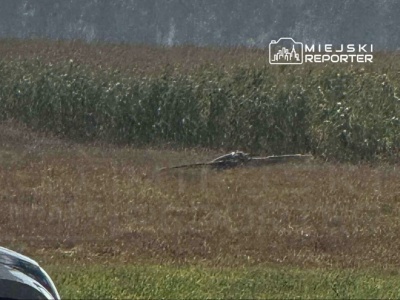 Trzy obiekty przypominające drony znalezione w lasach