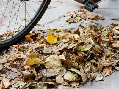 Wraca obowiązek dla właścicieli nieruchomości. Wielu nie jest tego świadomych