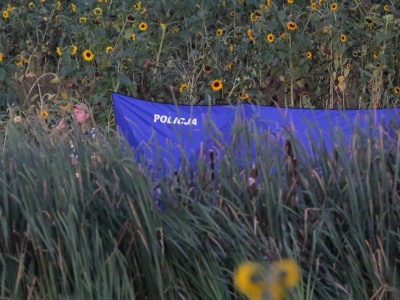 Wiemy, co znaleźli grzybiarze! 