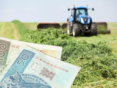 Dopłaty bezpośrednie 2025. Ile średnio na hektar dostanie rolnik?
