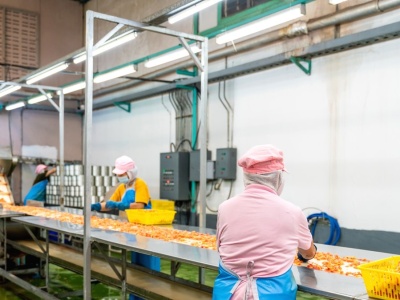 Duże zmiany dotknęły Polaków. To koniec wyjazdów do pracy za granicę?