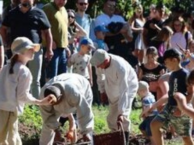 Wykopki kartoflane jak dawniej. Tradycja ożyła w Muzeum Wsi Lubelskiej