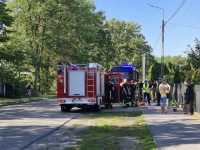 Grupa kolarzy zderzyła się ze stadem dzików. Nietypowe zdarzenie pod Warszawą