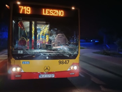 Zderzenie autobusu miejskiego i auta z jeleniem. Zwierzę zginęło na miejscu