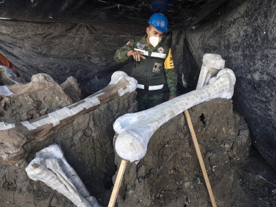 Gigantyczne znalezisko w Meksyku przebija słynne La Brea Tar Pits. Naukowcy odkopali ponad 50 tysięcy kości