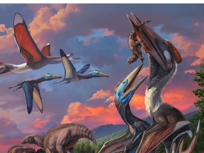 Dwa giganty znalezione w Azji. Ich rozmiary zdumiały wszystkich