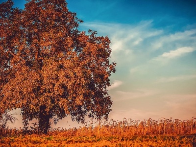 Jesień bez przeziębień: co naprawdę działa na odporność