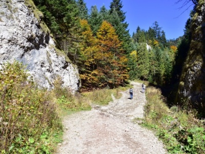 Ten szlak turyści najchętniej wybierają jesienią. Bardzo widokowy i niezbyt trudny