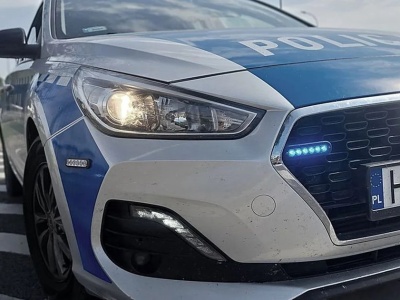 Brutalny incydent w gminie Raciąż – pies zabity na oczach właścicielki