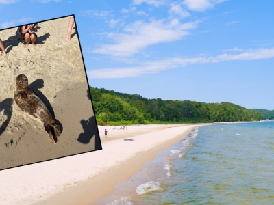 Zobaczyła ją na plaży i chwyciła za telefon. 