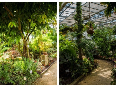 Warszawa, a jednak... egzotycznie. Na ten spacer nie trzeba daleko jechać