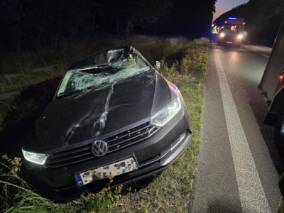 Poranne zderzenie samochodu osobowego z łosiem na drodze krajowej nr 17 (zdjęcia)