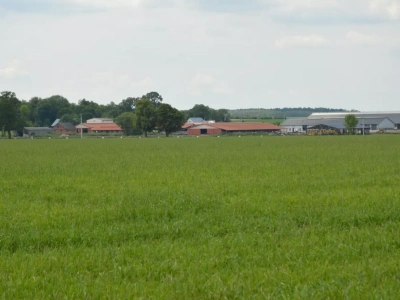 GUS podaje, jaki jest dochód rolnika z ha. Czy tym razem jest sprawiedliwie?