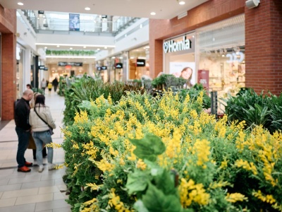 „Domowa Dżungla”. Wydarzenie już w piątek i sobotę
