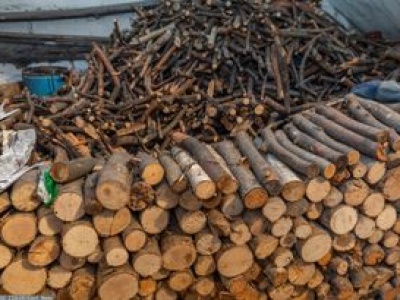 Ceny opału na początku jesieni. Tyle kosztuje metr drewna