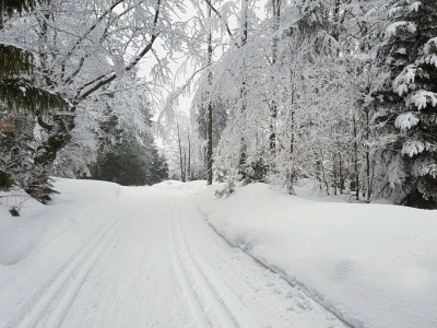 Ważna atrakcja na Podhalu ogrodzona. 