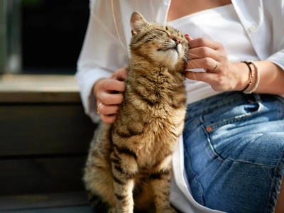 Tak możemy zbudować chemiczną więź z kotem. Badania stawiają sprawę jasno