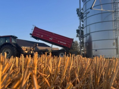 Ceny zbóż na MATIF wzrosły, na CBoT zaliczyły spadki