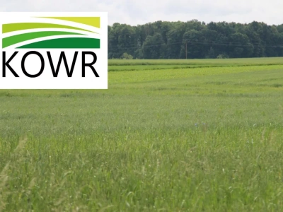 Czynsz dzierżawny w górę. Ile ziemi KOWR ma jeszcze do rozdysponowania?