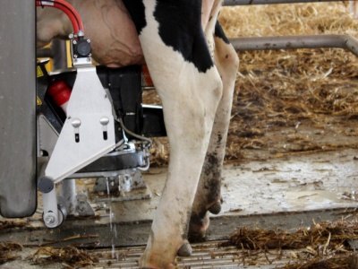 Pogarszają się perspektywy na światowym rynku mleka