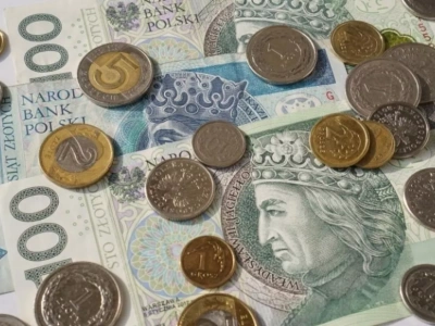 Czy wiesz, ile zarabiasz? GUS ogłosił dochód rolnika z hektara. Duża niespodzianka!